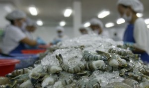 Seafood export turnover expected to hit 8.3 billion usd