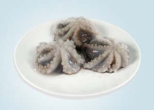 Raw Octopus